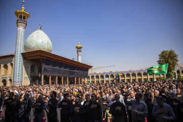 امام جمعه شیراز: موکب اربعین در بین‌الحرمین این شهر برپا شود