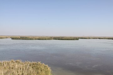 کانی‌برازان بهشت پرندگان ایران