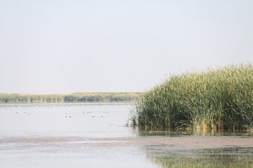 کانی‌برازان بهشت پرندگان ایران