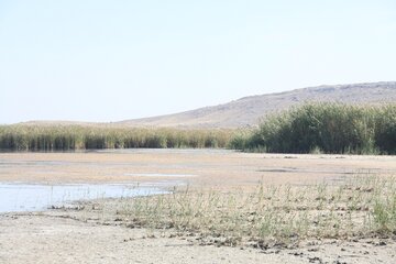 کانی‌برازان بهشت پرندگان ایران