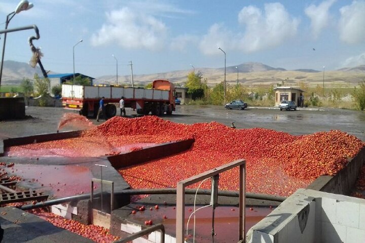 کشاورزی کردستان از تامین معاش تا صادرات