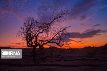 Maranjab Desert in Iran's  Aran va Bidgol