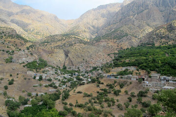 برداشت انار در روستای ژیوار