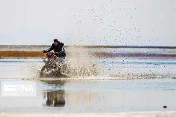 Return of life to Gavkhooni Wetland in central Iran