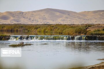 Return of life to Gavkhooni Wetland in central Iran