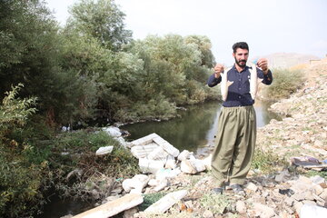 مرگ ماهی‌ها در قره سو