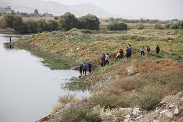 مرگ ماهی‌ها در قره سو