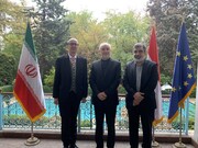 Austrian envoy says Tehran, Vienna develop strategic cooperation 