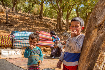 Bakhtiari nomads migration in Iran