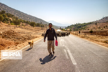 Bakhtiari nomads migration in Iran