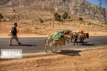 Bakhtiari nomads migration in Iran