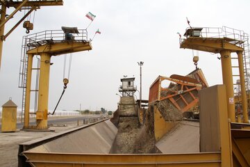 برداشت نیشکر در کشت‌وصنعت امام‌خمینی(ره)