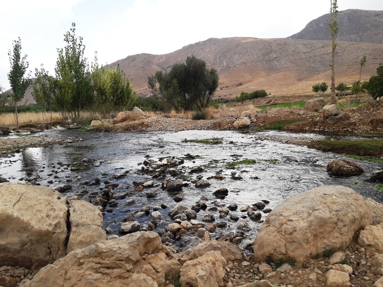 ایرنا - حال ناخوش سراب زیبای زز