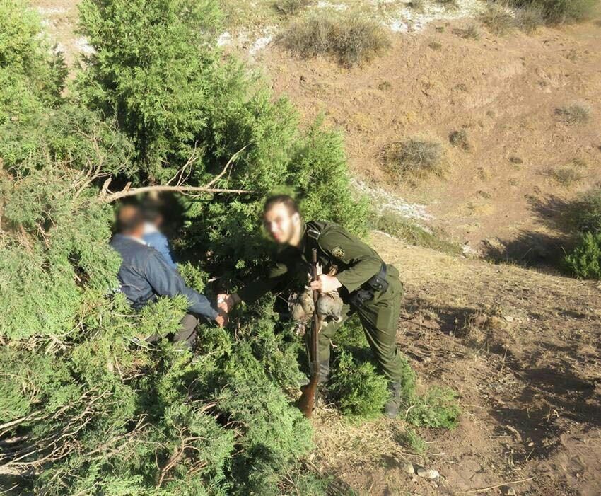 ۲۲۰ شکارچی حیوانات در استان اردبیل دستگیر شدند