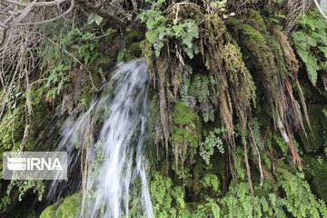 Arpanah Waterfalls in Iran's Lali county Khouzestan province