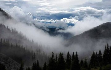 گمشدگان جنگل ابر و پارک ملی کویر استان سمنان پیدا شدند