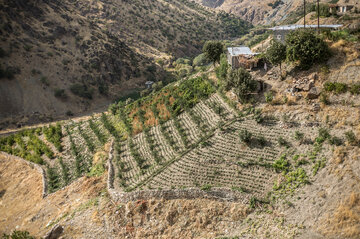 روستای سرریز