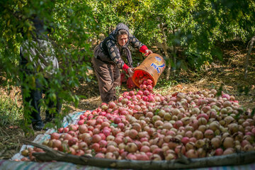 روستای سرریز