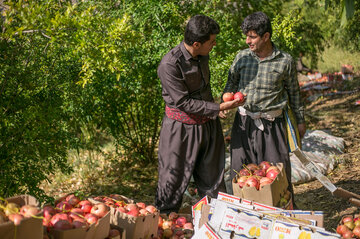 روستای سرریز