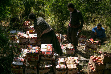 روستای سرریز