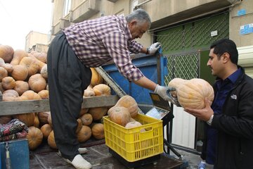 بازار کدو حلوایی در مهاباد