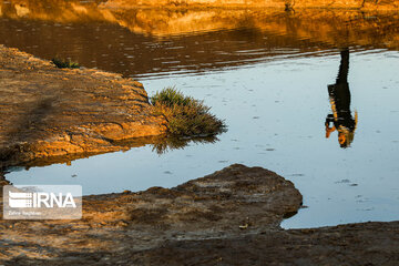 Autumn sunset in Gavkhooni Wetland, central Iran