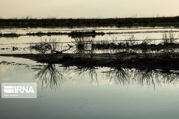 Autumn sunset in Gavkhooni Wetland, central Iran