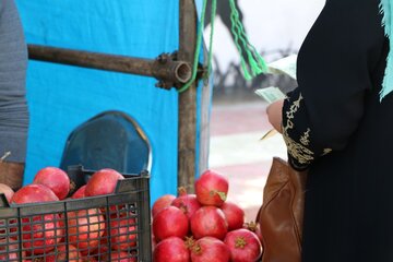 جشنواره انار میوه بهشتی در روستای محمدآباد ورامین برپا شد