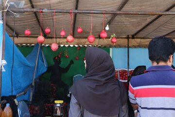 جشنواره انار میوه بهشتی در روستای محمدآباد ورامین برپا شد