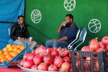 جشنواره انار میوه بهشتی در روستای محمدآباد ورامین برپا شد