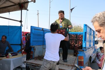 جشنواره انار میوه بهشتی در روستای محمدآباد ورامین برپا شد