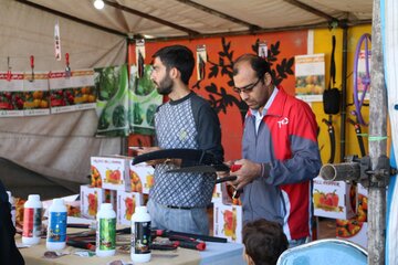 جشنواره انار میوه بهشتی در روستای محمدآباد ورامین برپا شد