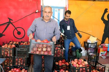 جشنواره انار میوه بهشتی در روستای محمدآباد ورامین برپا شد