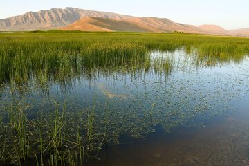 دریچه‌های خروجی تالاب گندمان بروجن بسته شد