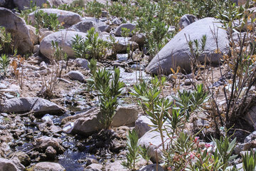 روستای گردشگری کوهشاه