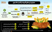 ماجرای ذرت های آلوده از آغاز تاکنون