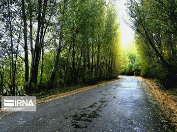 Iran beauties in Autumn