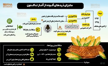 ماجرای ذرت های آلوده از آغاز تاکنون