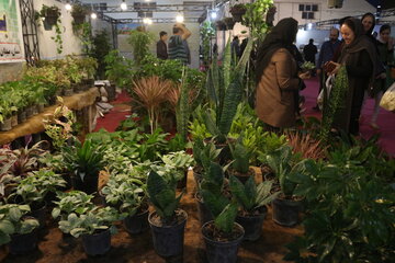 بازار بین‌المللی گل و گیاه اصفهان سال آینده به بهره برداری می‌رسد