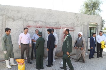 پایش حیوانات خانگی روستای پاتل ایسین توسط دامپزشکی هرمزگان