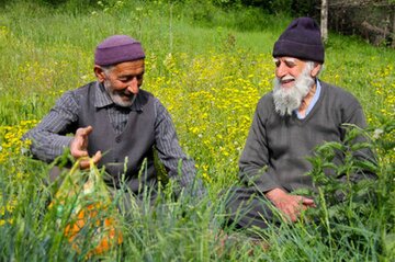 تمسخر و خجالت، شیب تند انقراض زبان مازندرانی    