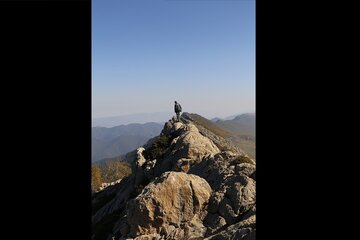 مرز حیرت انگیز در ایران