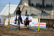 جلوه گری ۷۶ اسب در هجدهمین جشنواره ملی اسب کاسپین
