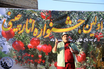 اولین جشنواره مردمی انارچینی شهرستان تفت یزد