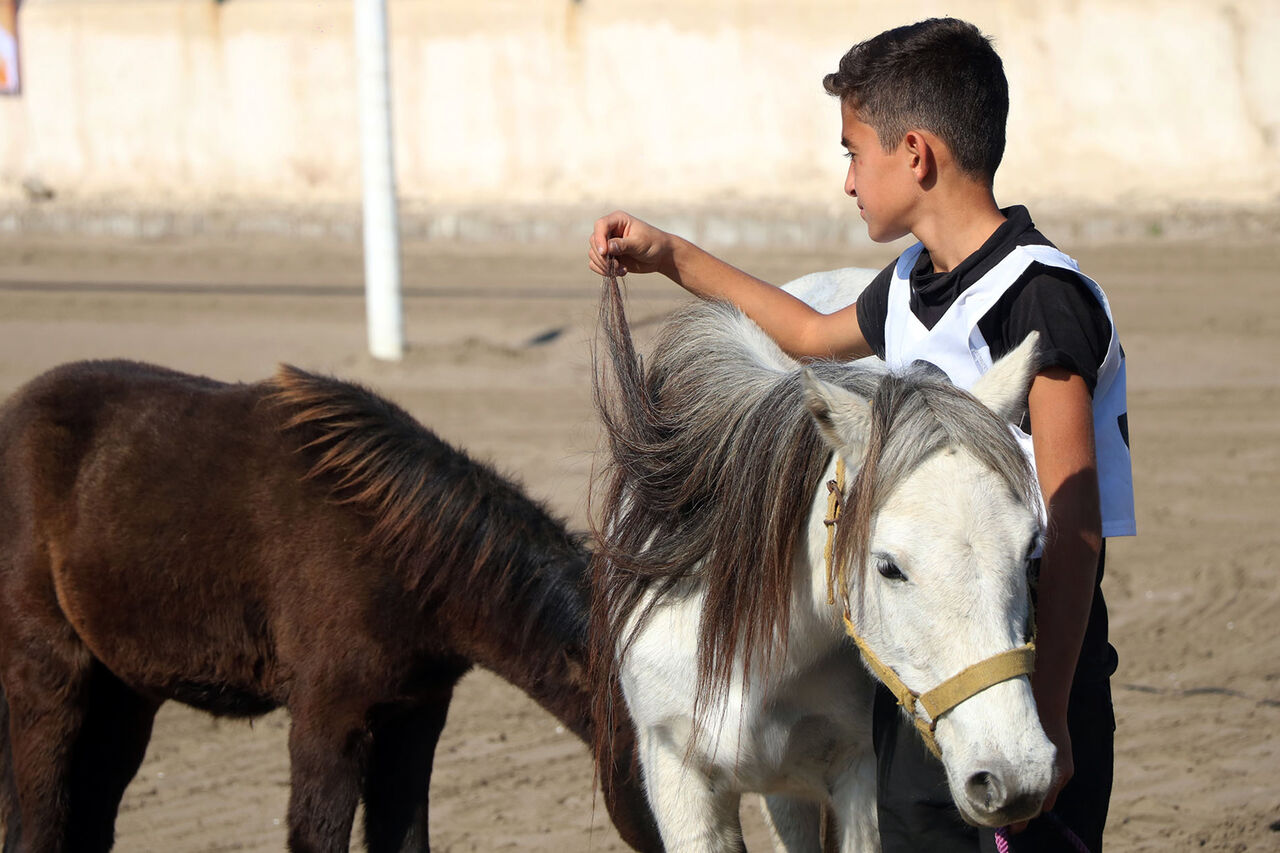 جشنواره زیبایی اسب اصیل ایران در اردکان آغاز شد
 
