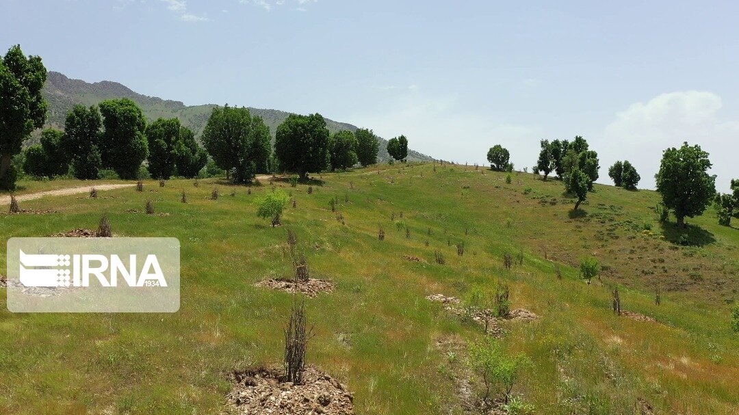 طرح بوم‌سازگان زاگرس در کردستان آغاز شد