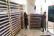 دو دغدغه‌ صادرکنندگان زعفران 