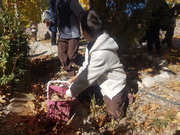 مهارت آموزی و آموزش کودکان شاهرودی در طبیعت