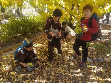 مهارت آموزی و آموزش کودکان شاهرودی در طبیعت