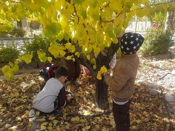 مهارت آموزی و آموزش کودکان شاهرودی در طبیعت